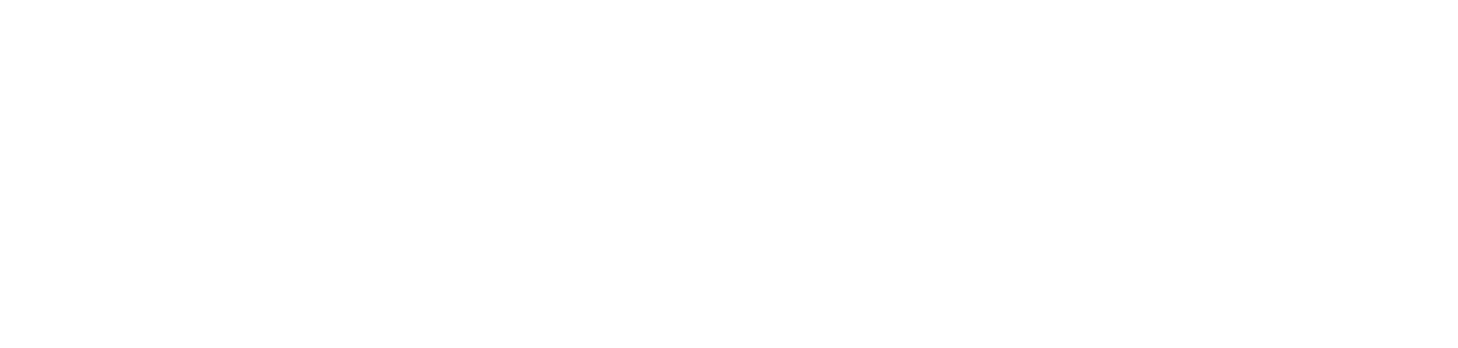 Shop Pay logo